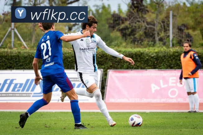 米兰体育·米兰登陆入口 - 米兰online(中国)平台生态图